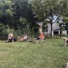 2020 - 2020-Troop Meeting